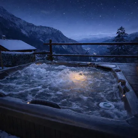 Ardoise - Nature Paradise - Swiss Alps